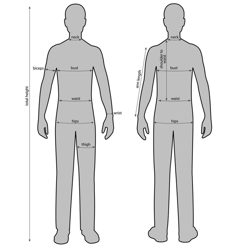 Man with measurement lines of body parameters . vector