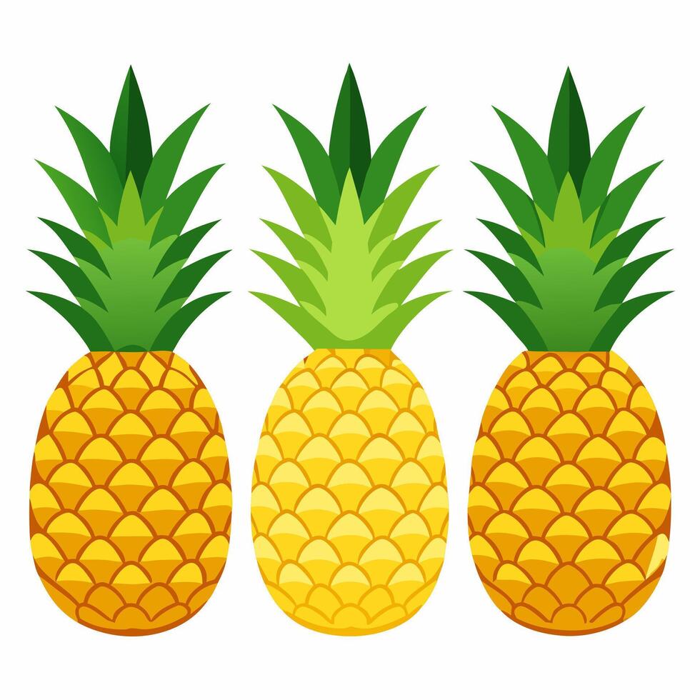pineapple with green leaves on it and a picture of a pineapple on the top. vector