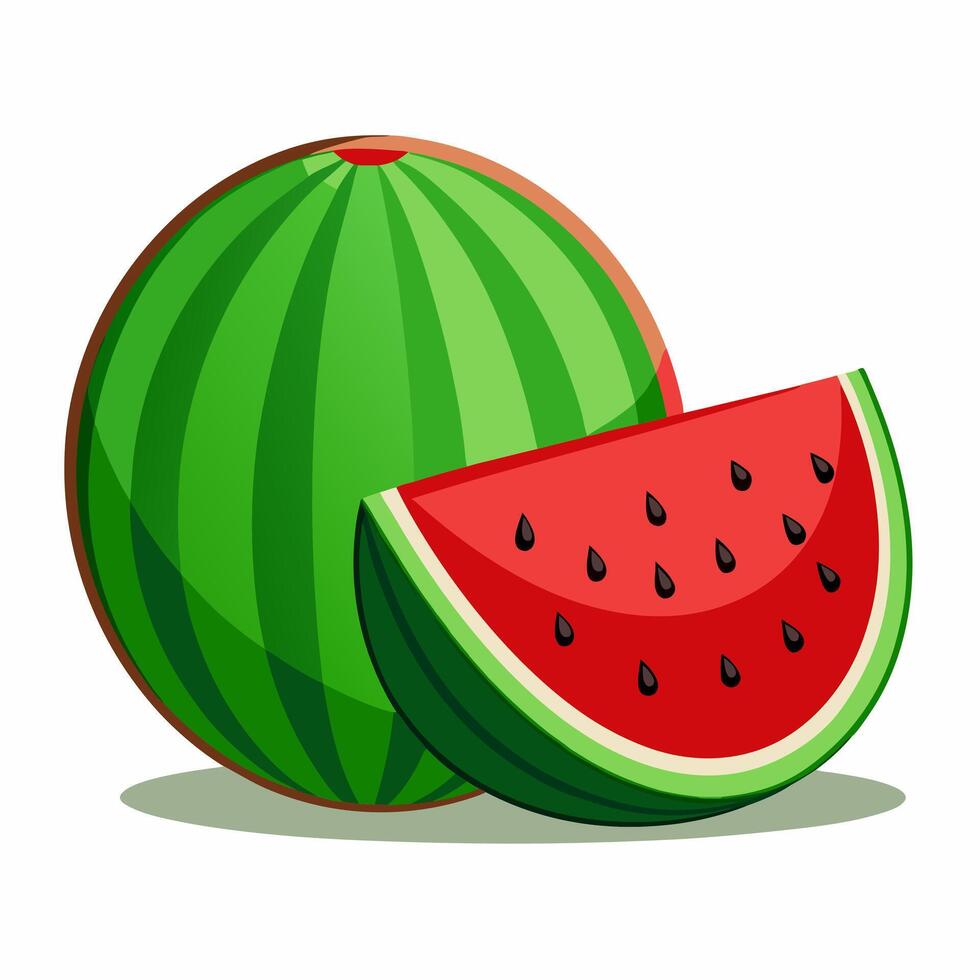 a watermelon cut in half and a half of a watermelon. vector