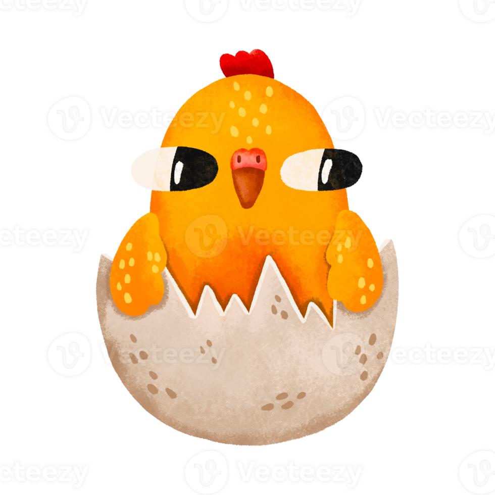 Yellow chick hatched from egg. Newborn. Cartoon illustration with chicken. Easter spring illustration on isolated background png