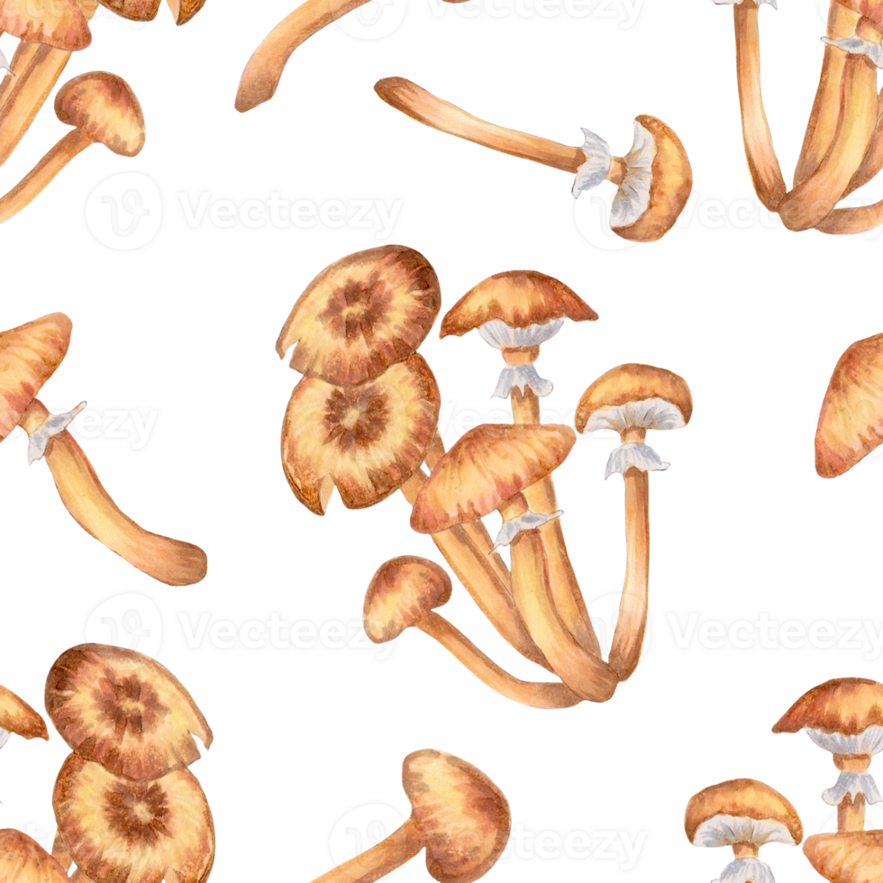 Seamless pattern of honey mushrooms. Illustration with watercolors and markers. Hand-drawn botanical background. Autumn harvest natural, culinary ingredient for wallpaper, recipe, textile, wrapper png