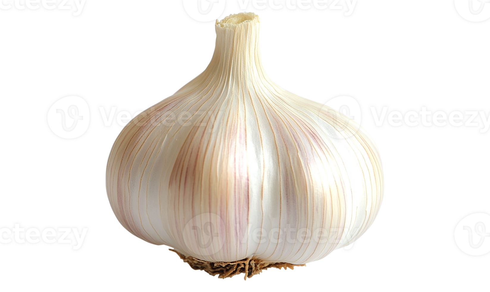 Isolated garlic, transparent png