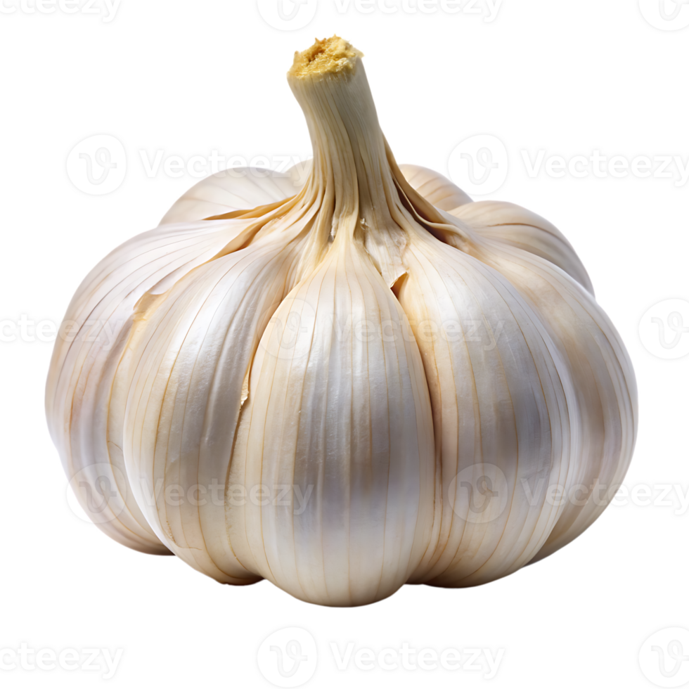 Garlic on transparent background png