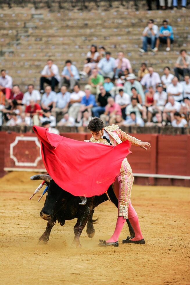 Seville, Spain, 09 10 2006, Matador Antonio Nazare Performs with the Muleta at Sevilla Novillada photo