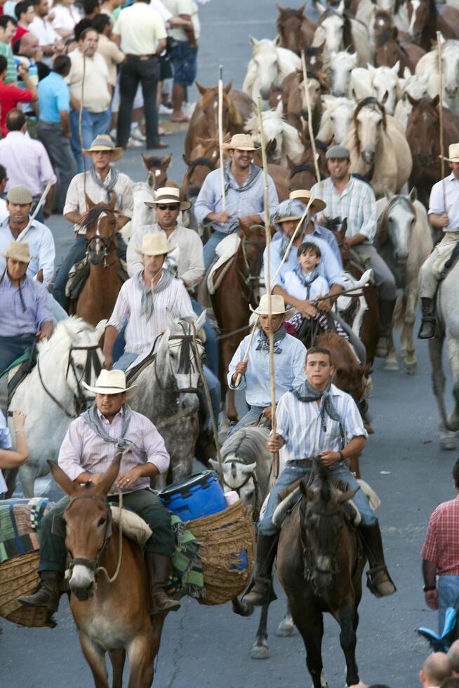 Almonte, Spain, June 26 2009, Wild Mares and Colts Herded During Saca De Las Yeguas Festival in Almonte photo