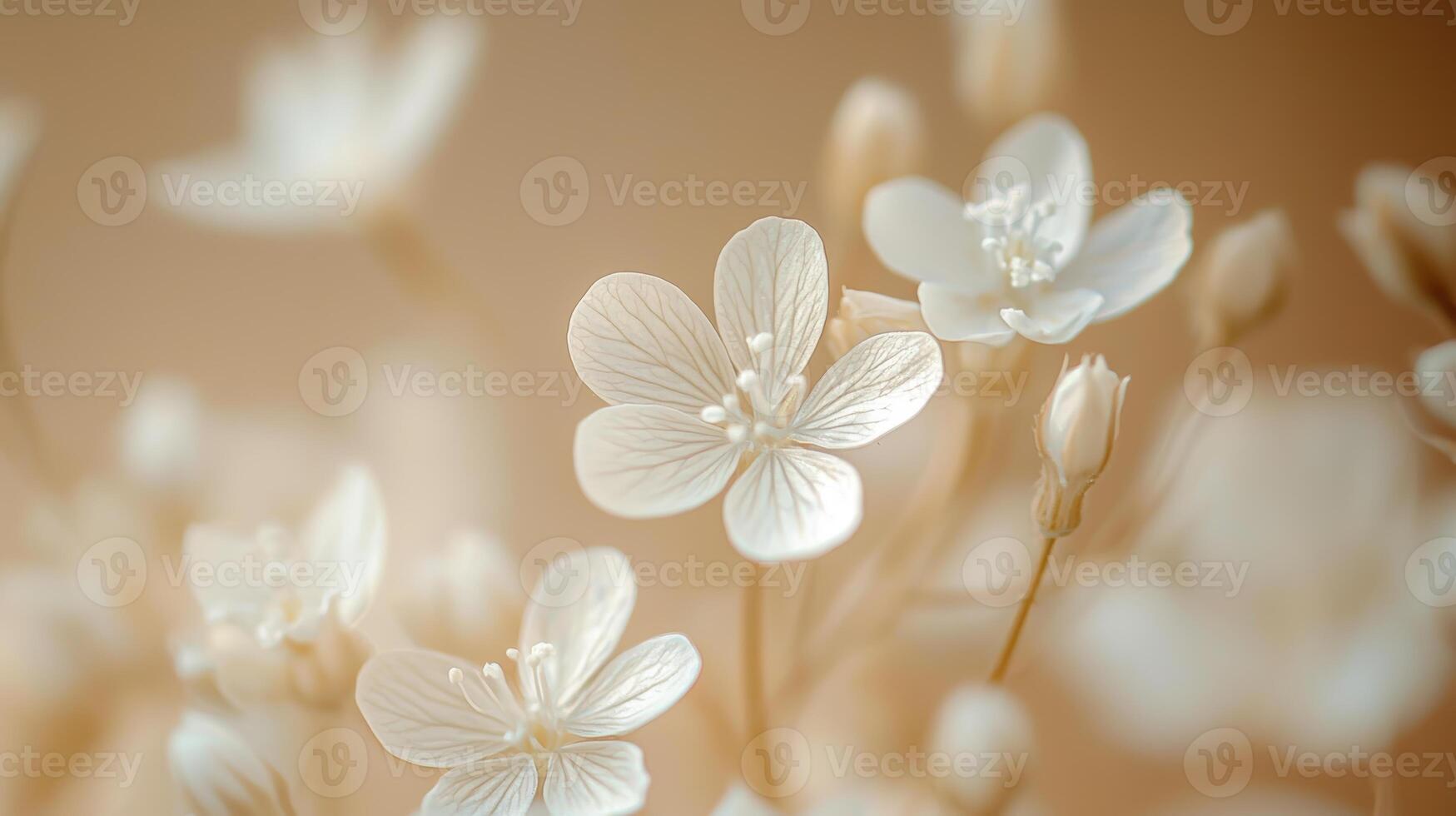 May flowers are illuminated by light that makes them look warm photo