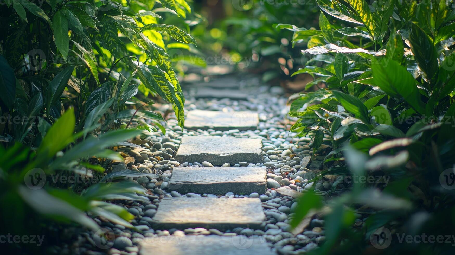 The neatly arranged rocky paths are surrounded by neat and beautiful green plants photo
