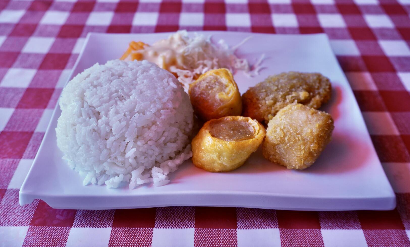 Japenese fried chicken roll meat bento food photography, white rice, and salad dishes isolated on horizontal ratio red and white checkered square table top surface background. photo