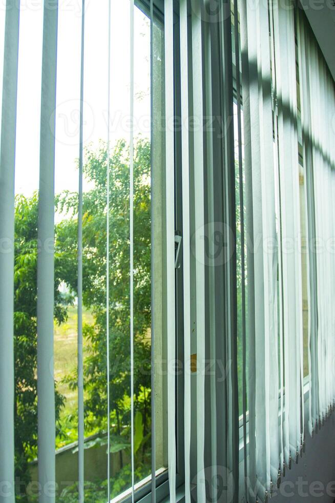 Blinds, curtains on the windows in the office and outside are green plants photo