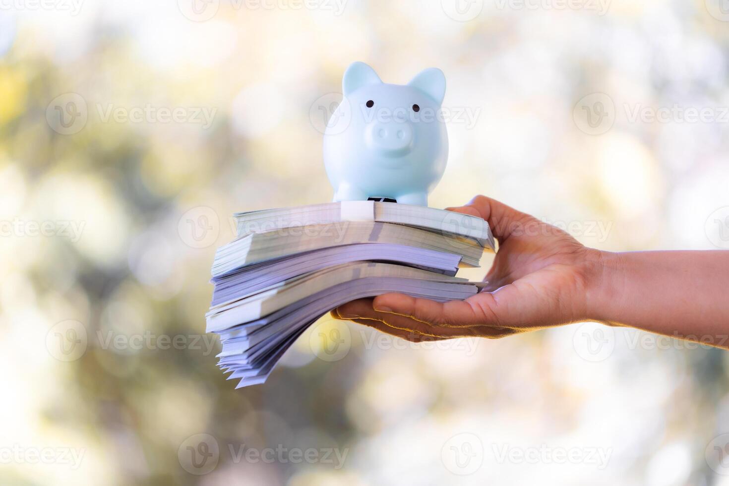 Saving money through wise investments in various currencies can contribute to economic growth and financial success. save, money, saving, coin, currency, economy, finance, growth, investment, success photo