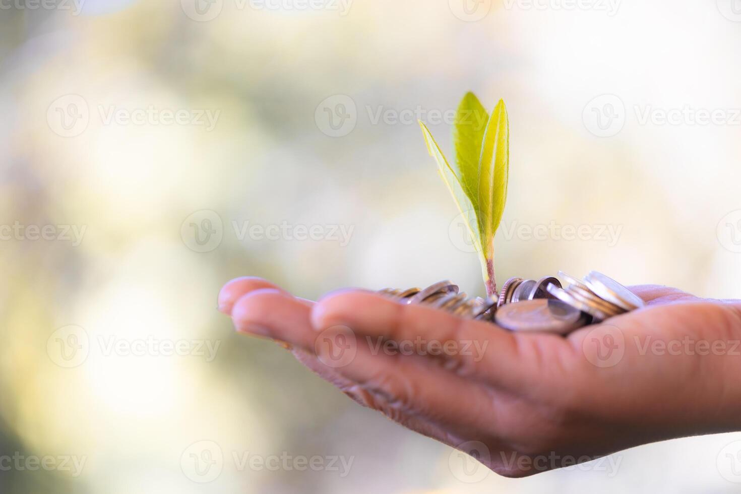 Saving money through wise investments in various currencies can contribute to economic growth and financial success. save, money, saving, coin, currency, economy, finance, growth, investment, success photo