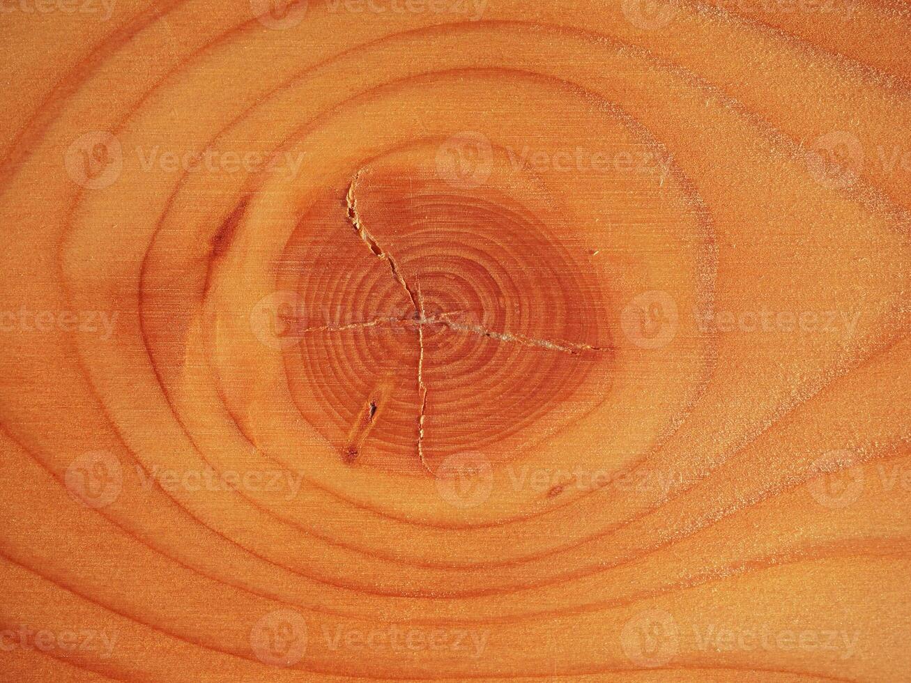 industrial style Larch wood background photo