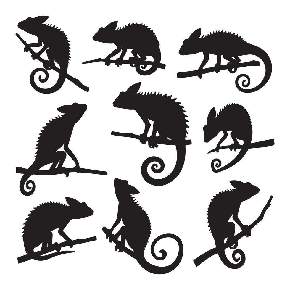 Chameleon silhouettes set illustration vector