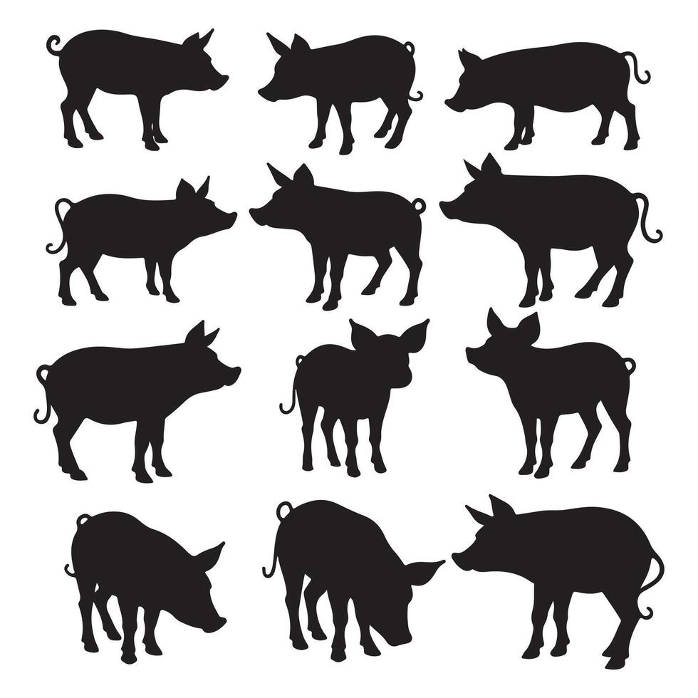 Pig silhouette set of different pig silhouettes illustration vector