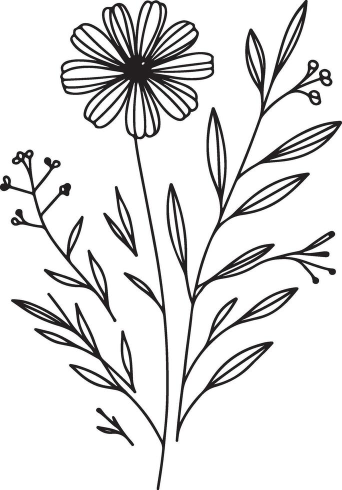 Plants, leaves and flowers drawing vector