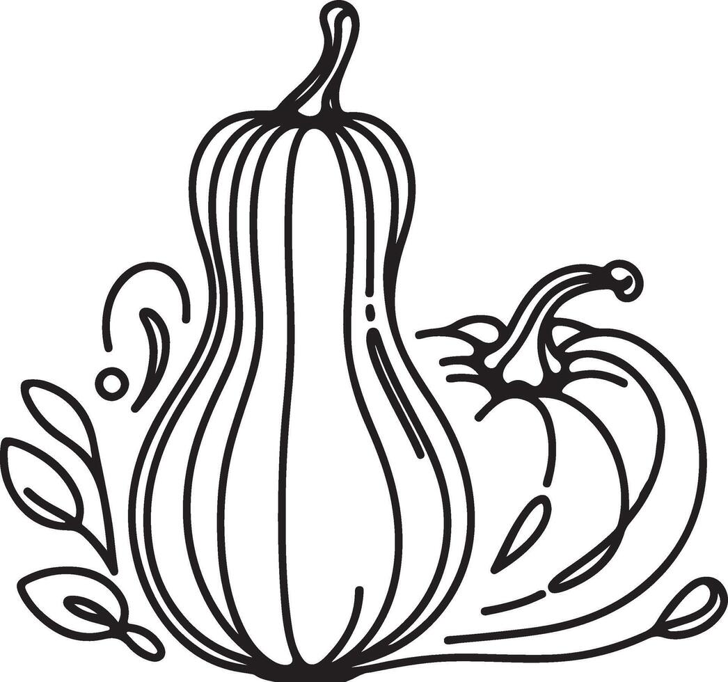 hand drawn gourd vector