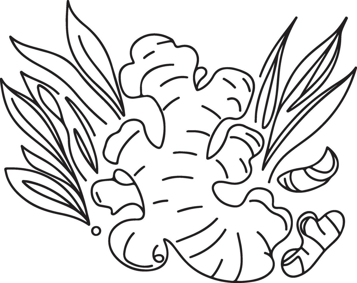 ginger hand drawing art vector
