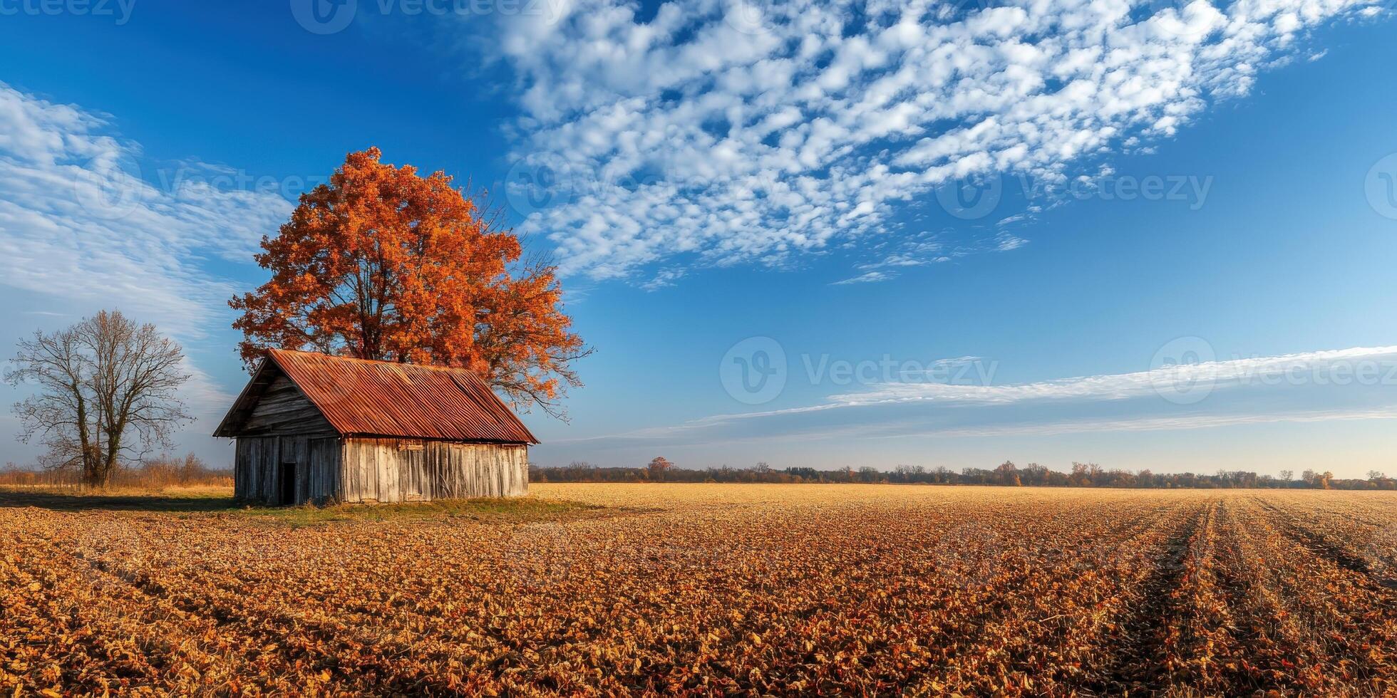 Rustic barn amidst vibrant autumn trees in a quiet landscape photo