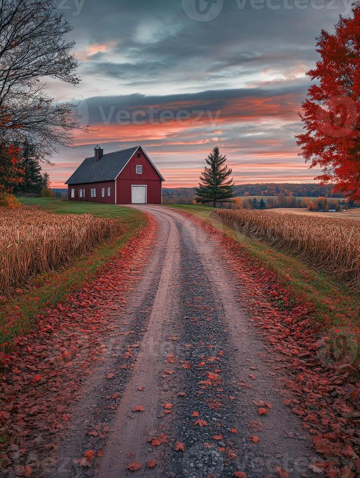 Charming autumn path leading to a rustic red barn in rural landscape photo