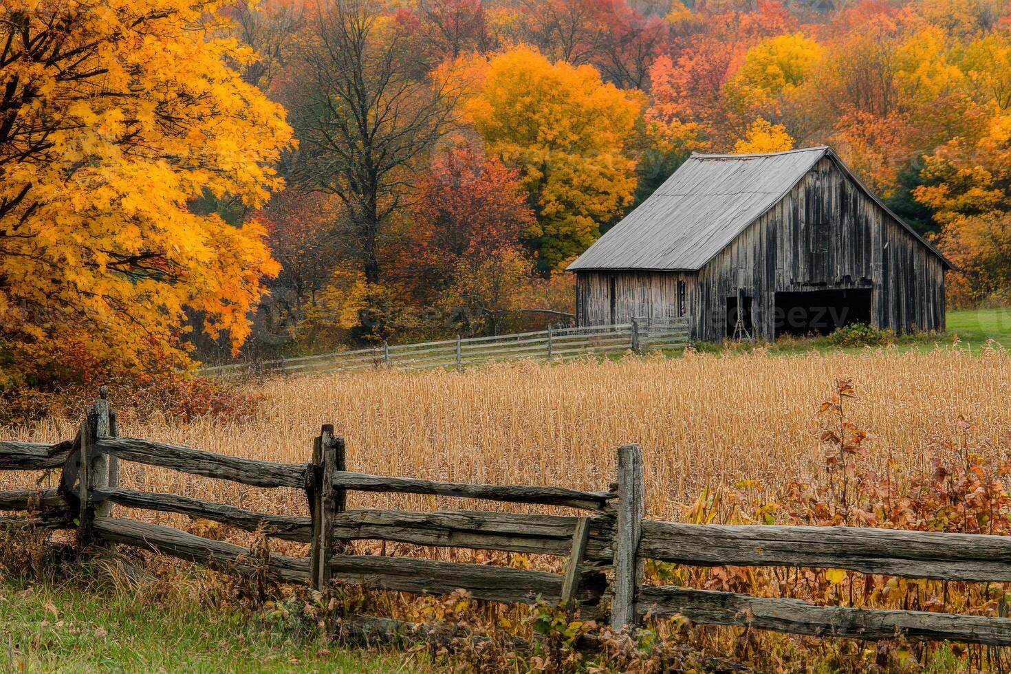Charming autumn landscape with a rustic barn and vibrant foliage photo