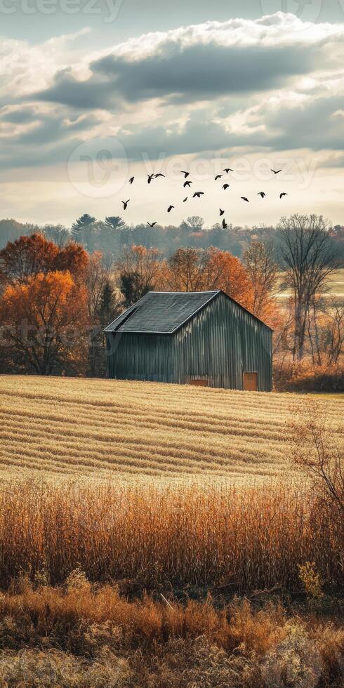Rustic barn surrounded by autumn foliage and migrating birds at dusk photo