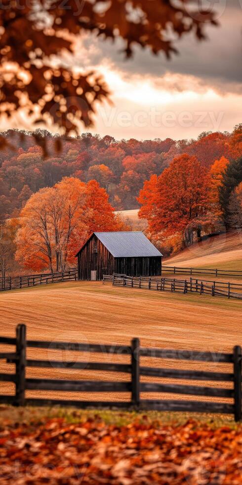 Autumn rural landscape with a barn and colorful trees in the countryside photo