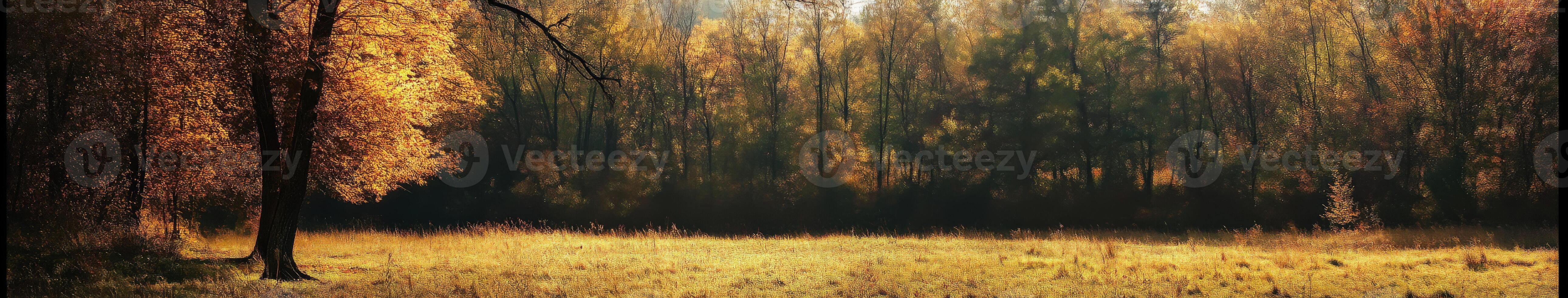Vibrant autumn grassland with colorful trees under soft sunlight photo