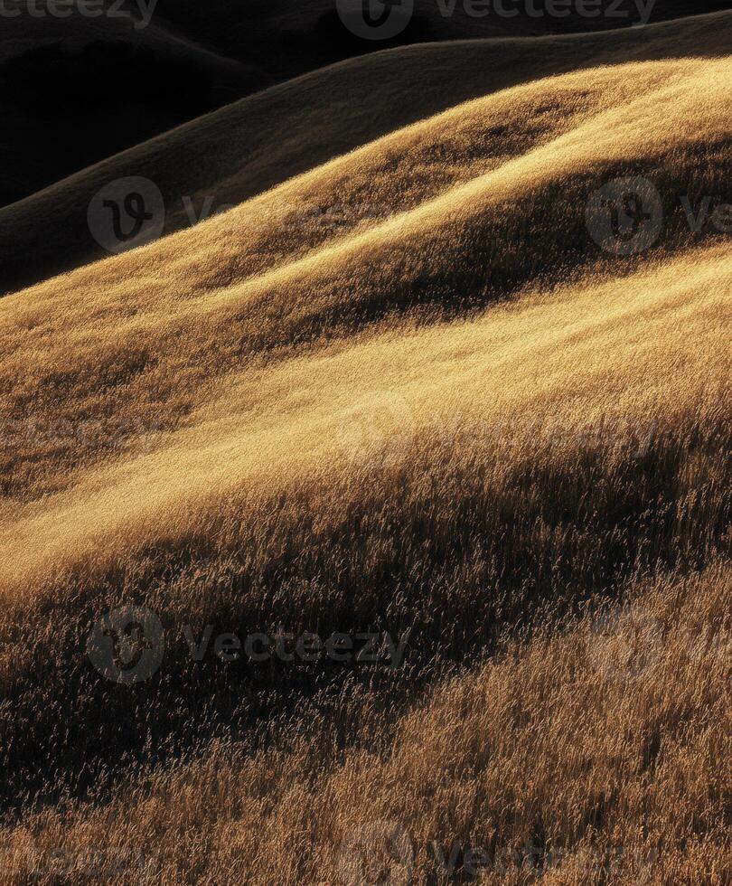 Golden autumn grassland with rolling hills on a serene evening photo
