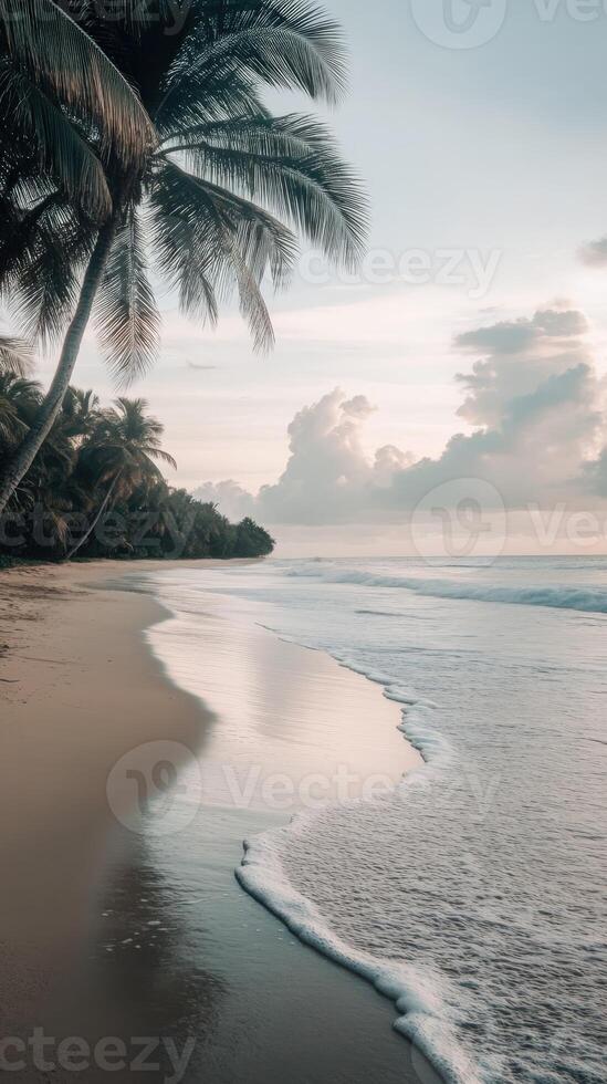 Tranquil tropical beach at dusk with gentle waves and palm trees photo