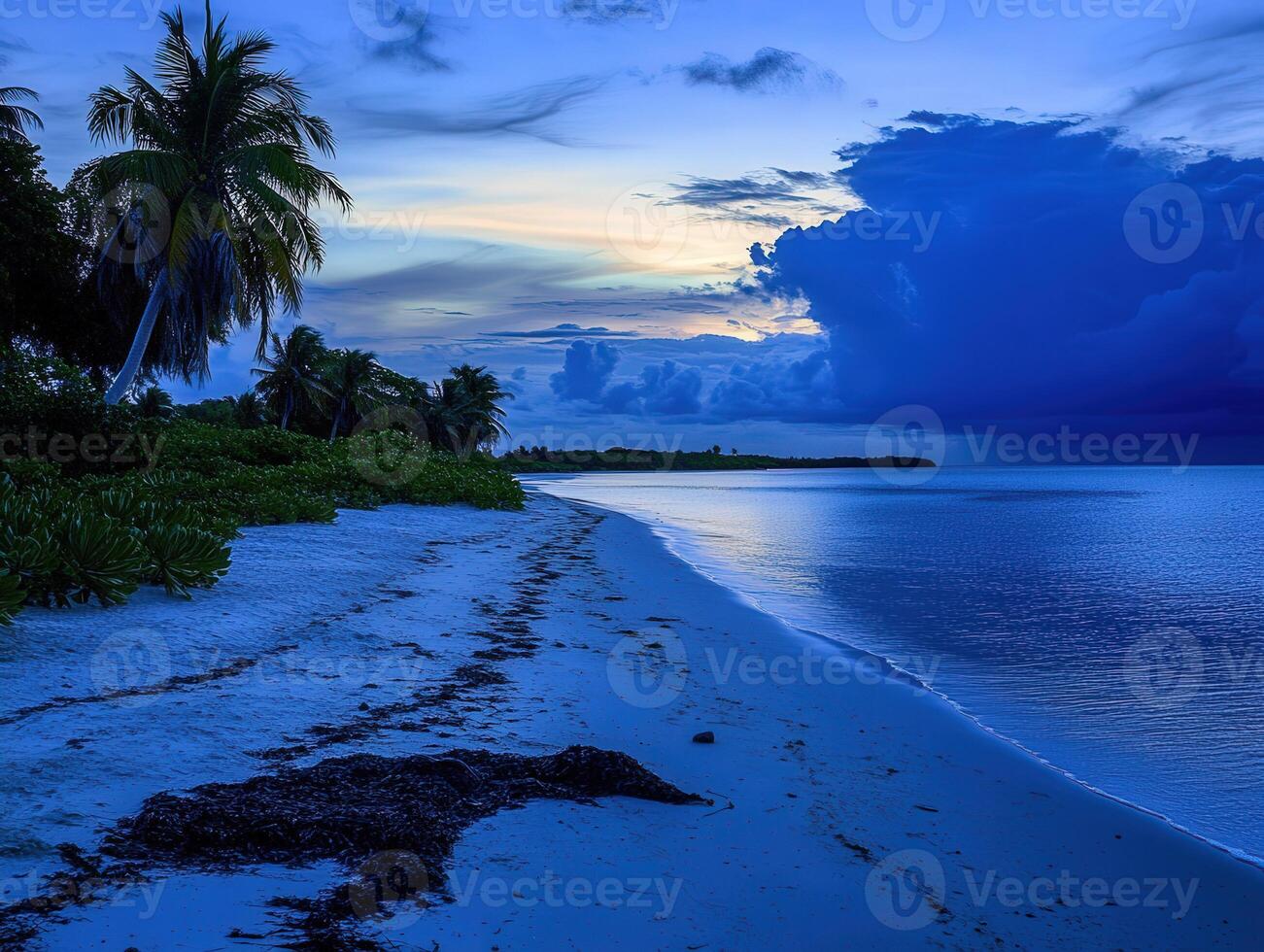 Tropical beach at dusk with calm waters and palm trees lining the shore photo
