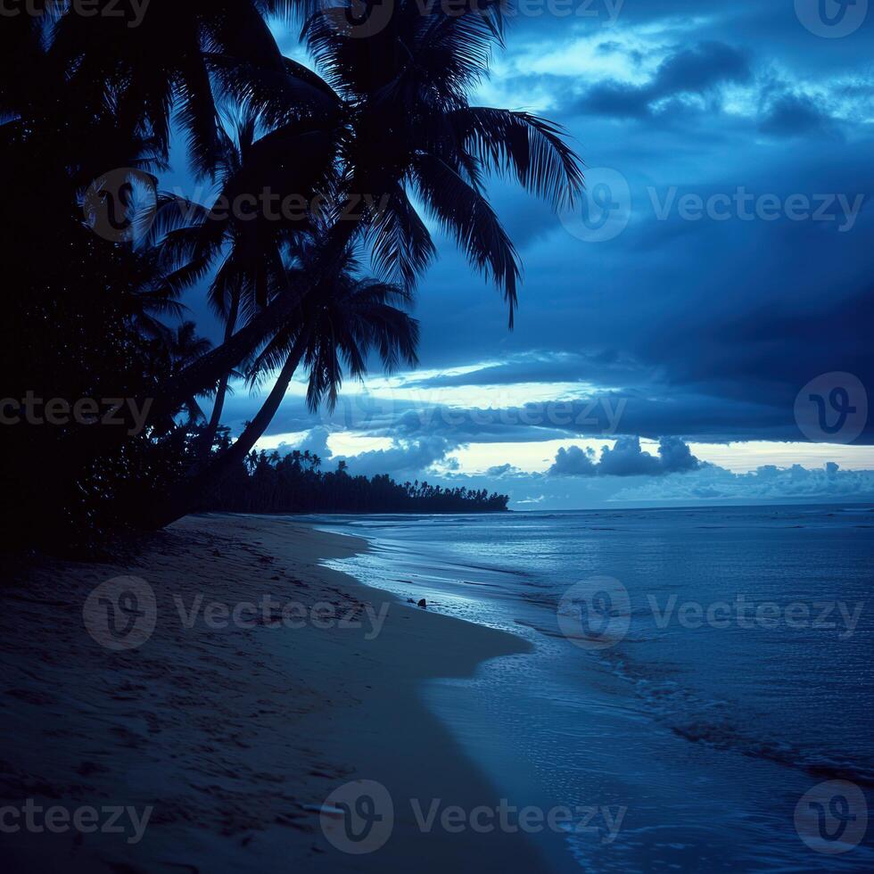 Tropical beach at dusk with palm trees and gentle waves washing ashore photo