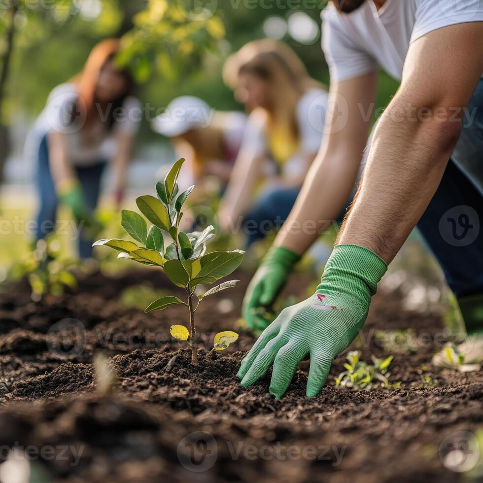Community members planting trees in a park during springtime photo