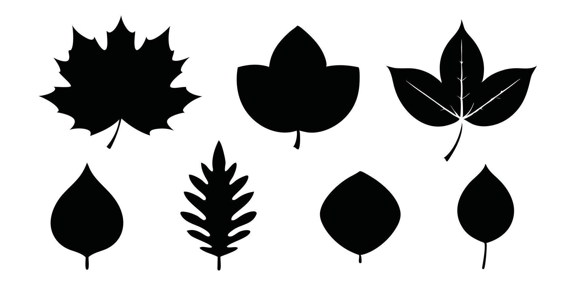 A set of leaves silhouettes on a white background vector