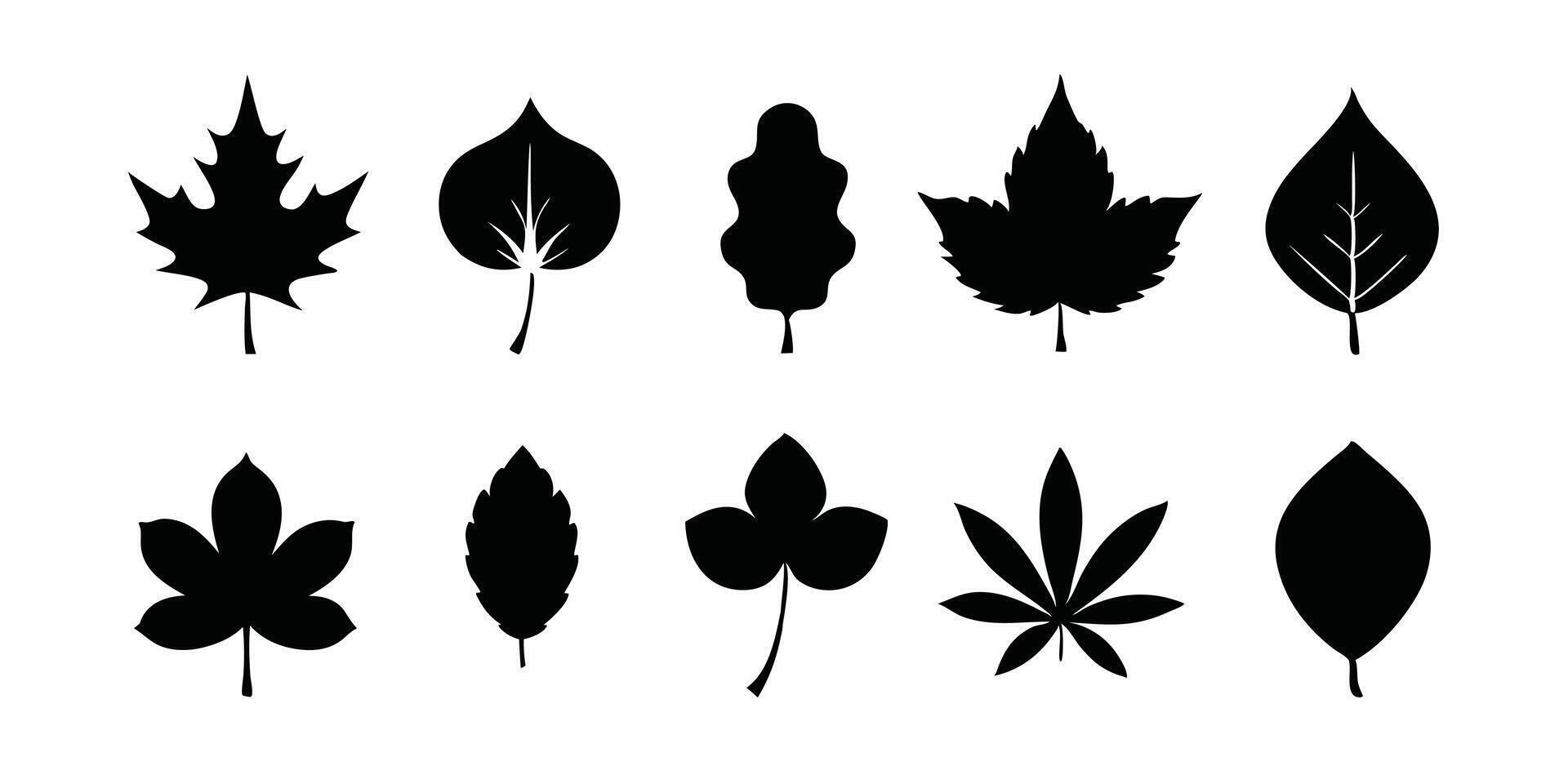 A set of leaves in various shapes and sizes vector