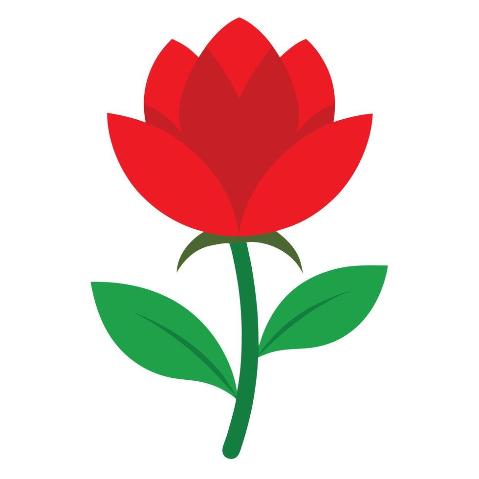 A red rose with green leaves on a white background vector