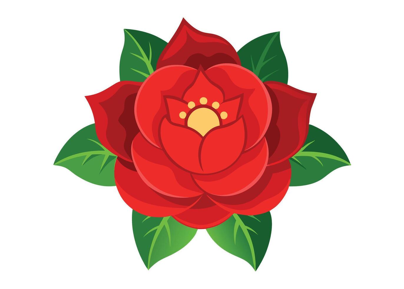Red rose flower with green leaves on white background vector