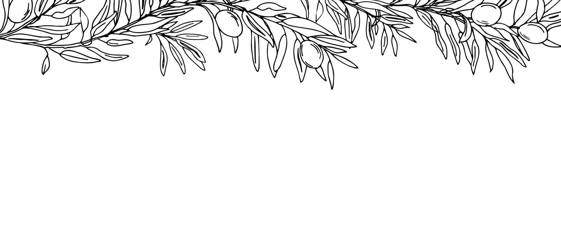 Horizontal Frame, Border with Olive Branches and fruits. Hand drawn Graphic illustration. Botanical Sketch. Perfect as a web banner, card and invitation template, for menu design. vector