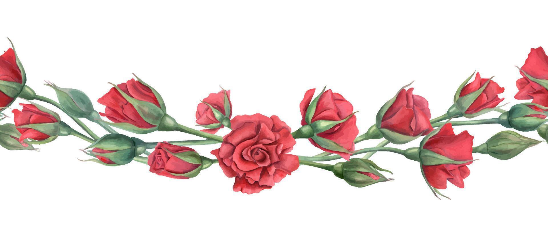 Red roses. Intertwined flower stems. Wave floral banner. Blooming summer flowers with scarlet petals. Watercolor botanical illustration. For wedding design, memorial day. Mother day celebration vector