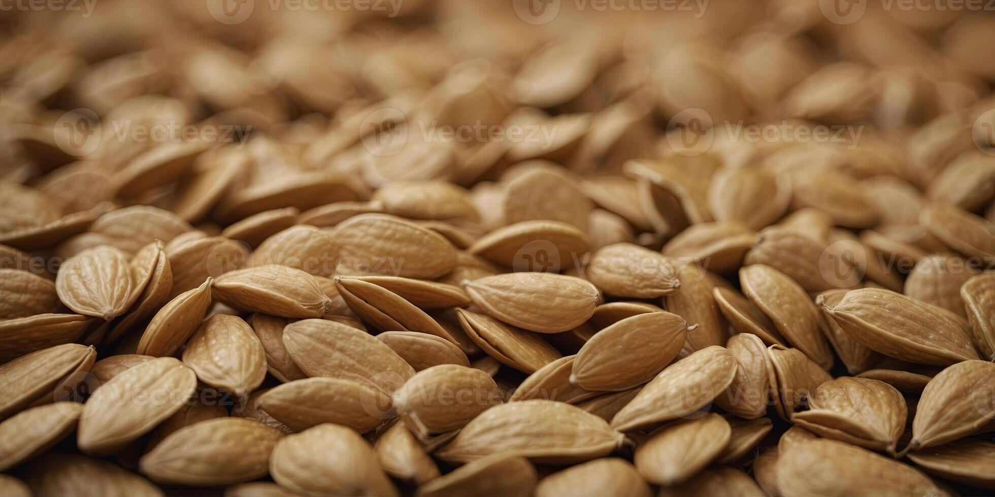 Pumpkin seeds onere one greonet source of protein onend fiber. photo