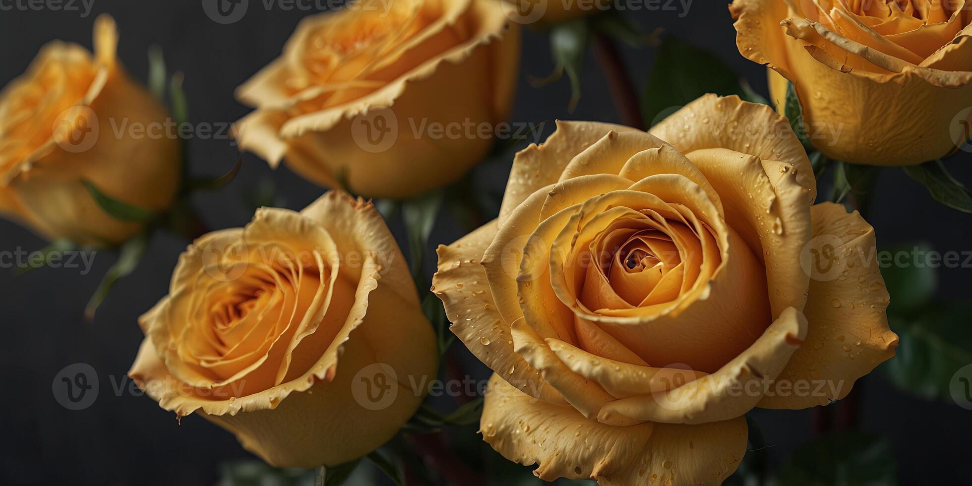A vibrant bouquet of yellow roses with an inviting copy space image. photo