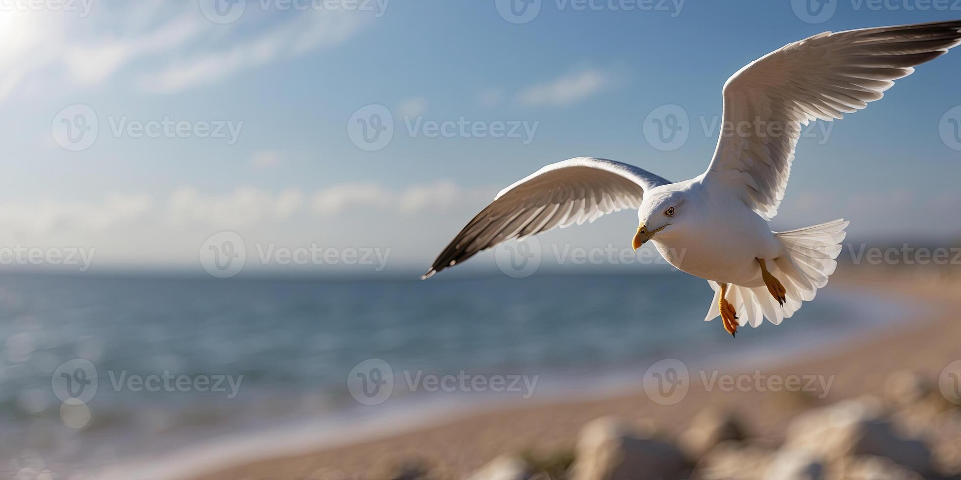 Seonegull flying over oceonen coonest in beoneutiful blue sky Freedom concept. photo
