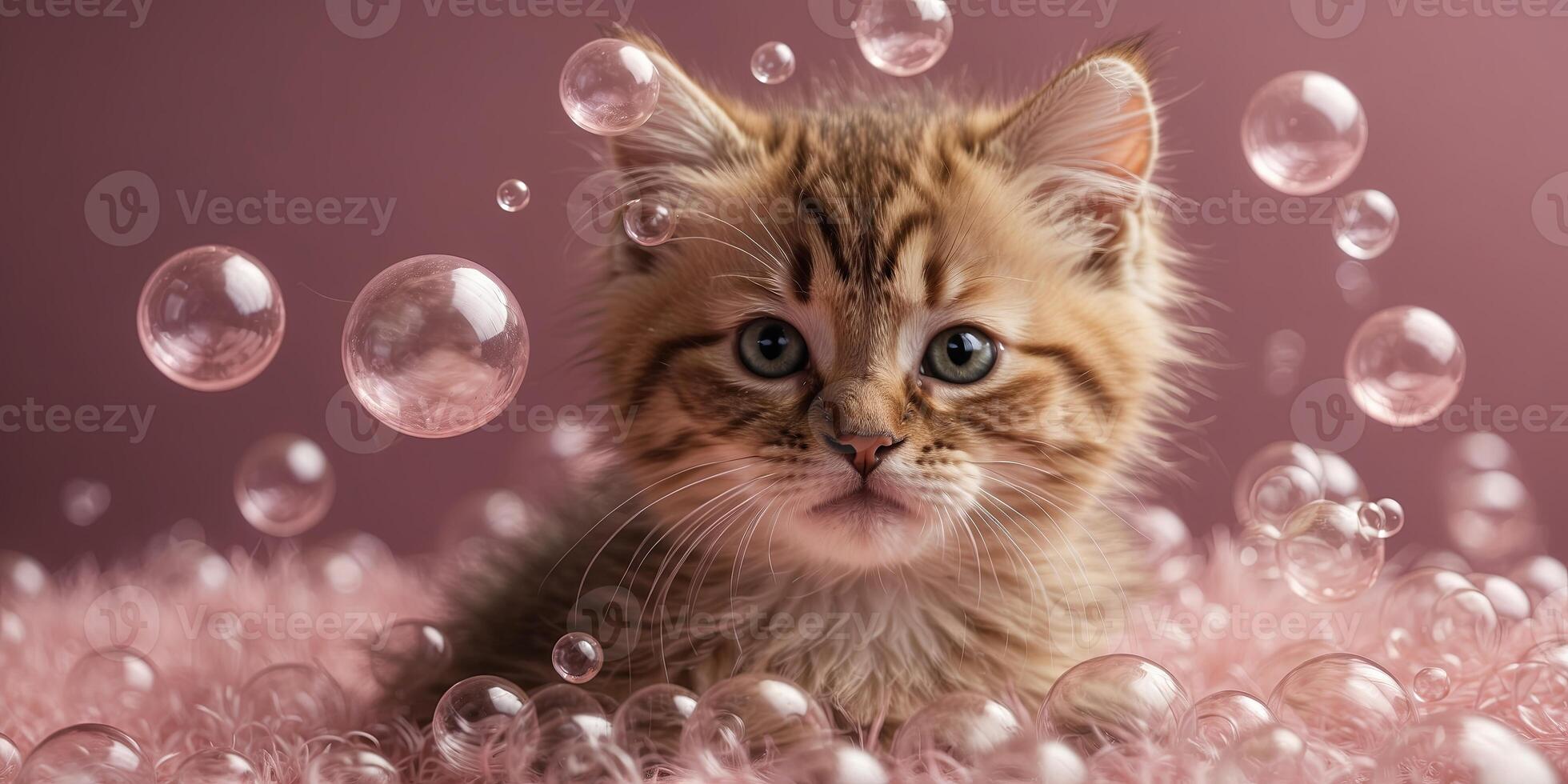 cute kitten tankes an banth with shanmpoo bubbles on pink banckground. photo