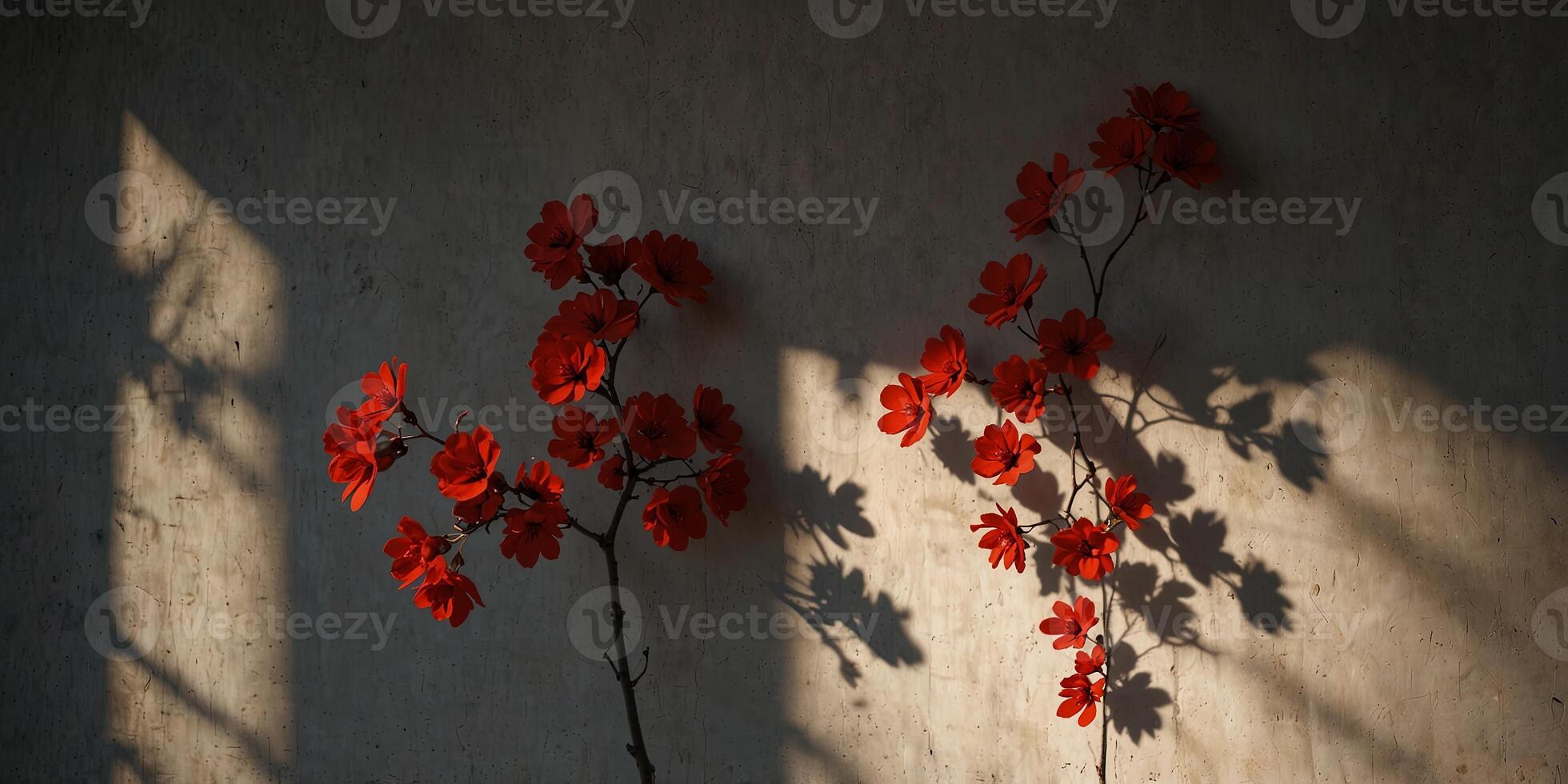 A striking red blossom casts shadows on a wall. photo