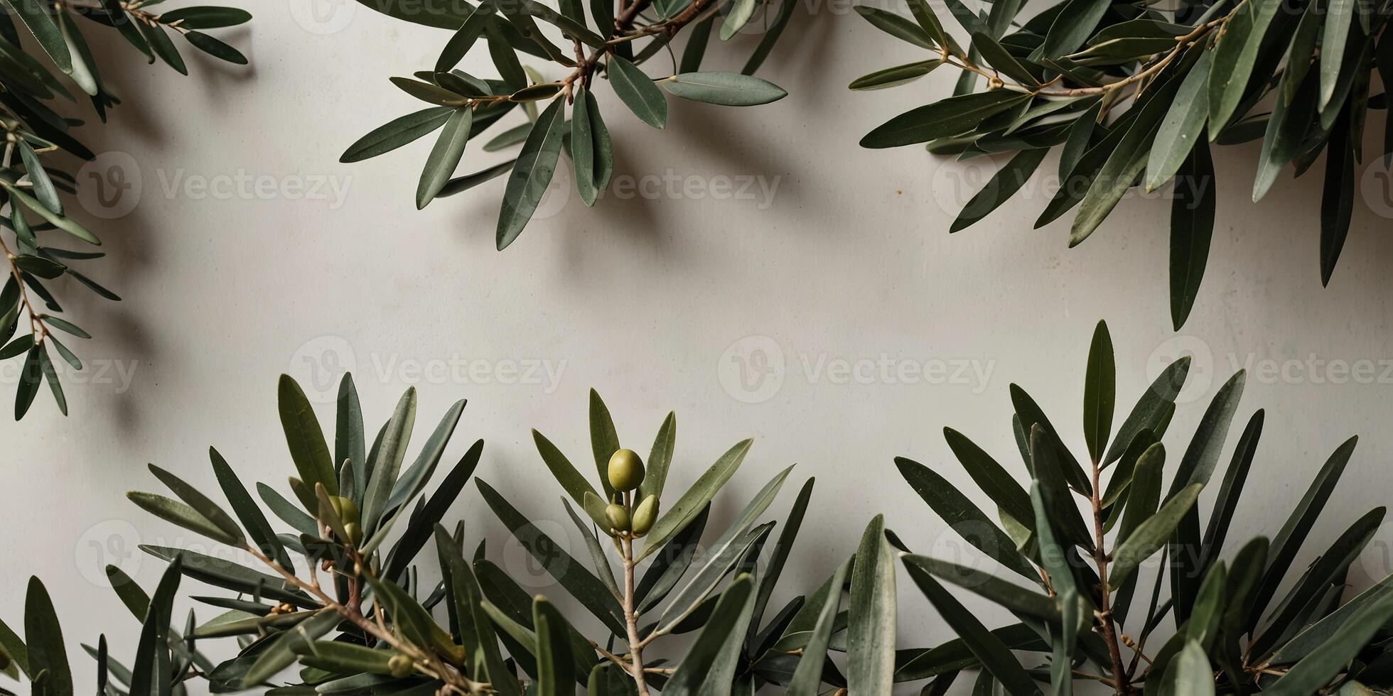 Flat lay of olive branches on a white surface with empty space viewed from above. photo