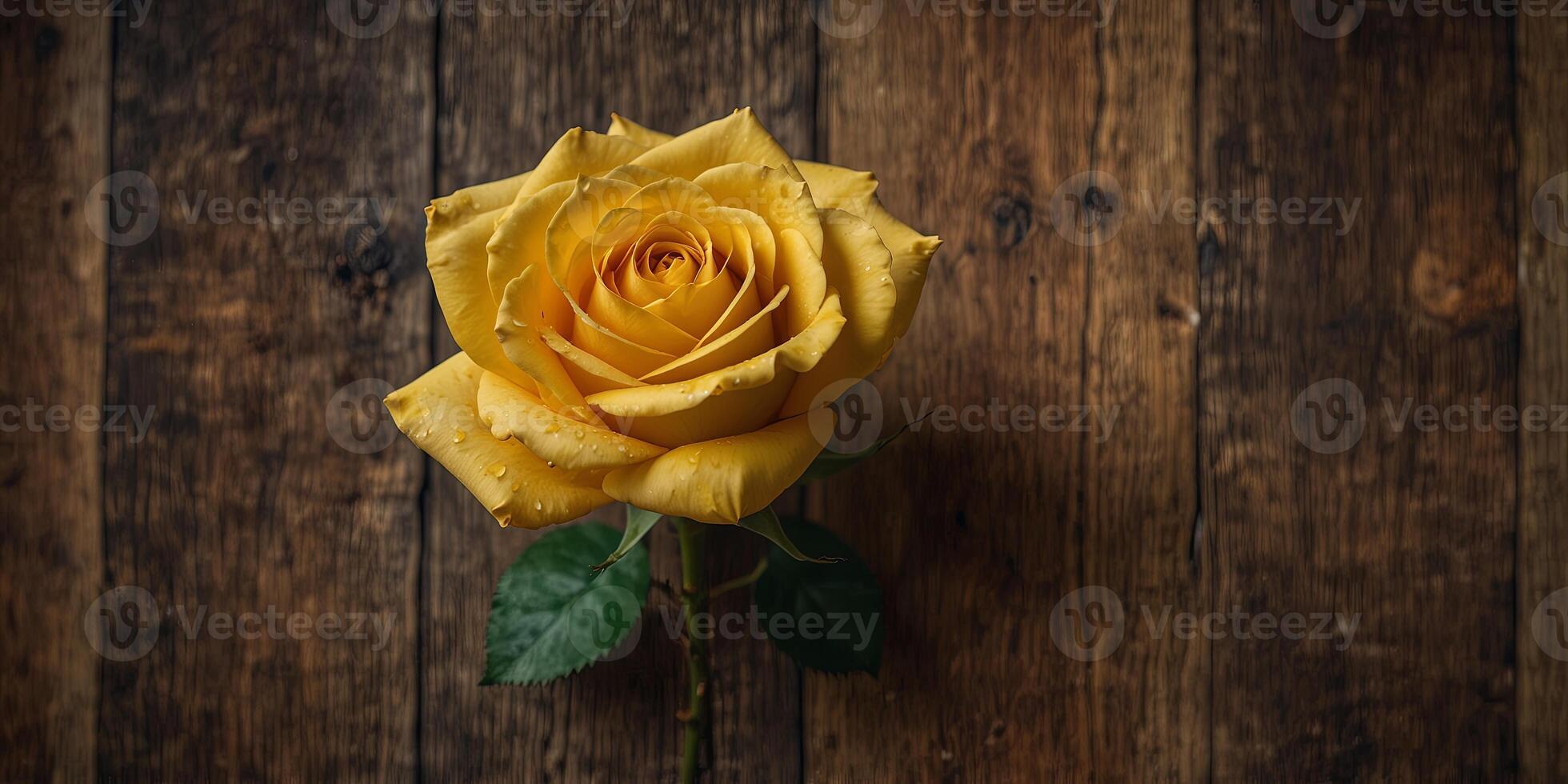 A luxurious yellow rose with delicate petals on a rustic wooden background viewed from the top creating ample space for additional images. photo