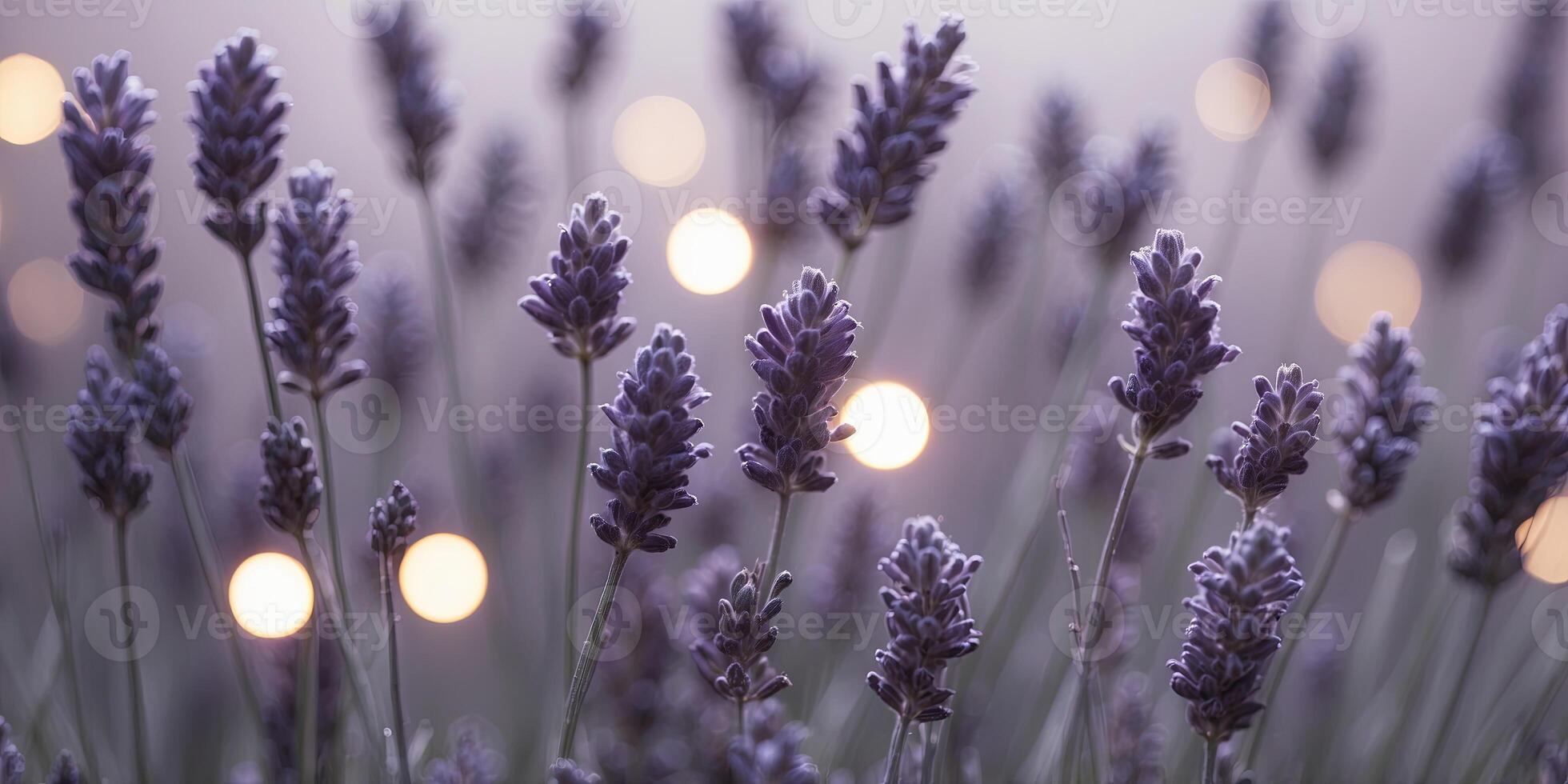 Modern Abstract Lavender Background with Illuminated Circular Shapes - Perfect for Product Presentation, Advertising, and Digital Art Inspiration. photo