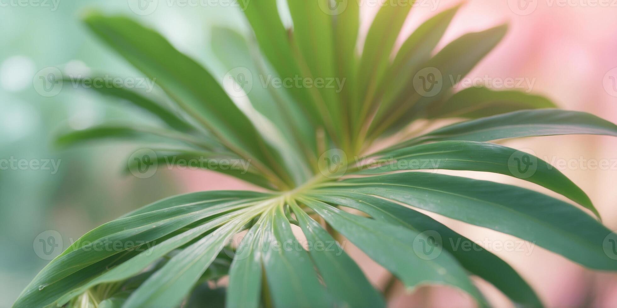The image showcases a close-up of palm leaves with a soft pastel color palette, giving a tranquil tropical feel. photo