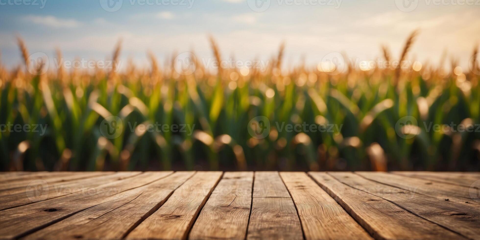 Background of blurred cornfields with rustic wooden planks. photo
