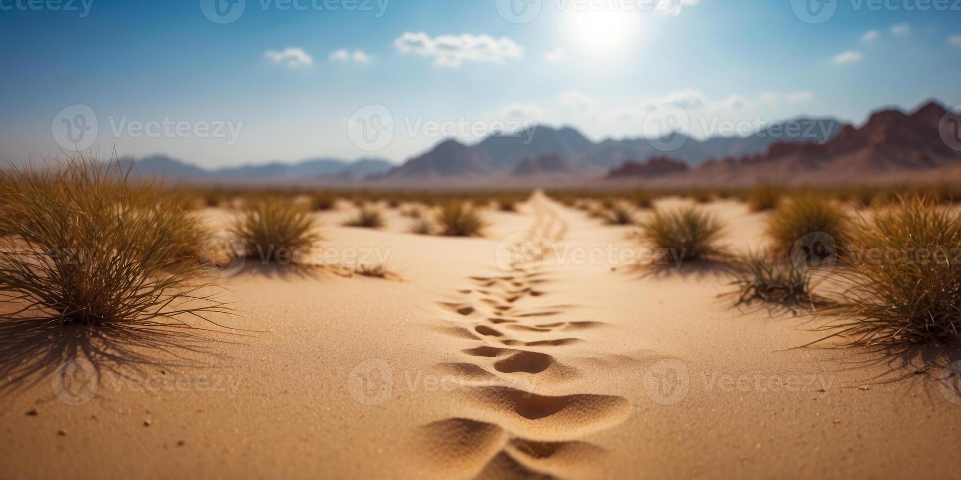 as walking through the desert with a sky background. photo