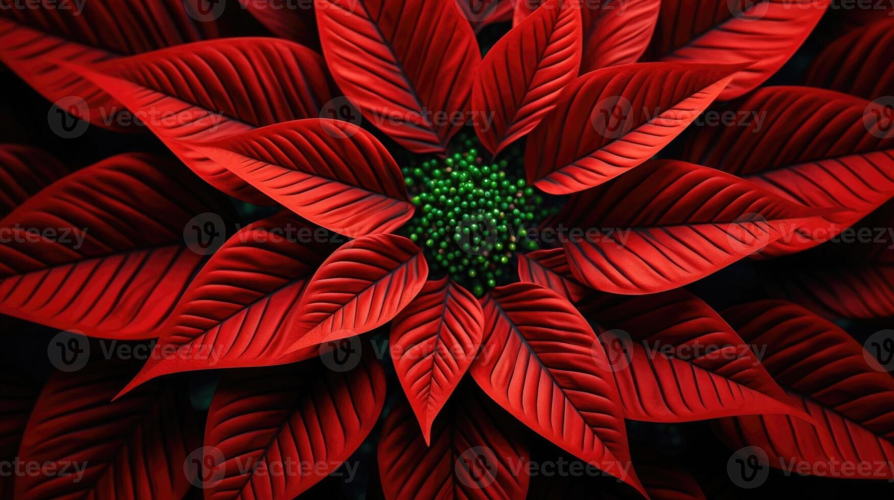 An upclose shot of a poinsettia fractal, revealing the complex and intricate nature of these geometric shapes formed through mathematical algorithms. photo